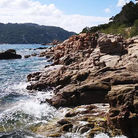 Appartement La Suite... Pieds Dans L'eau - Santa Giulia - Vecchio Porto-Vecchio (Corsica)